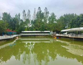 2020三圣花乡旅游区门票,成都三圣花乡旅游区游玩攻略,三圣花乡旅游区游览攻略路线 地址 门票价格