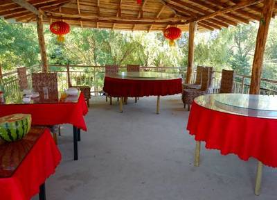 收藏你要的农家乐 还有花海