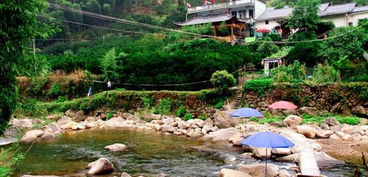 石梁镇寺桥村 –