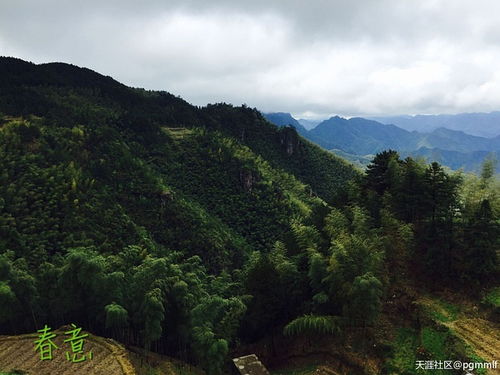 自驾游去哪里 去呼吸一次纯氧烦恼都会被治愈的地方丽水遂昌立新农家