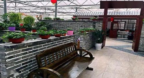 必看 宁夏连续58天0 五一 小长假银川周边农家乐总攻略