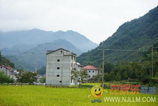 临安聚友山庄农家乐 清凉峰
