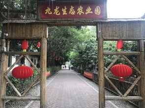 深圳农家乐九龙山庄休闲游,水上竹筏 蒙古射