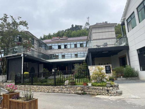 浙江湖州安吉董岭童氏山庄农家乐,门前就是湖区,聚会团建都在这