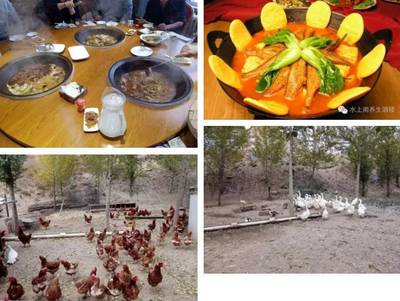 农家院、东北菜、云南孔雀、红色情怀都在赤峰这个山庄,还离市区这么近!