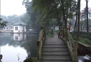 超安逸 乐山周边30多个最适合一日游的免费景点,够你任性大半年