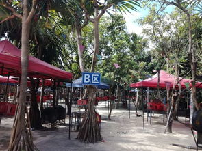 深圳杨梅坑农家乐海边烧烤南澳真人cs大鹏户外拓展