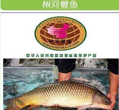 紫塞旅游:蓟县荣聚山庄养老庄园农家院圆了都市老人的“田园梦”