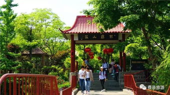 三伏天来费县,这道美食绝不可错过