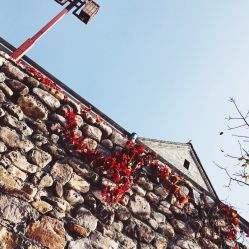 沐风庄园精品农家院 梨木台店的自然休闲体验