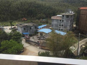 携程酒店 惠州南昆山金竹湾农家乐山庄预订 惠州南昆山金竹湾农家乐山庄价格 点评 电话 地址查询