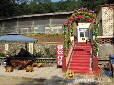 蜜语静林山庄 密云水库畔的悠然桃源