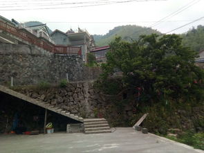 杭州临安青院农家乐依山而建的山庄,清晨醒来即可享受清新空气