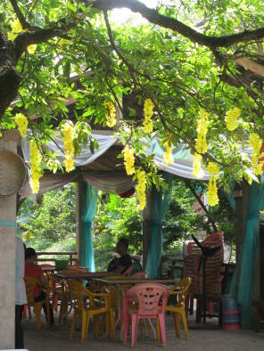 南宁农家乐寻趣 十大山庄与二十家精选推荐