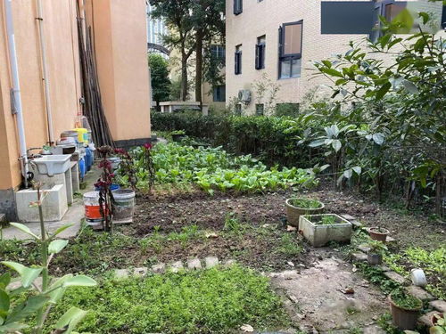 涨不起 卖不动，昔日豪宅光环不再——重庆某高端小区与农家院山庄的冷热反差