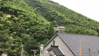 德清莫干山汤家园山庄 秘境中的农家乐与农家院山庄体验